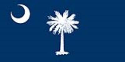 Sticker: State Flag - South Carolina (1.5in x 3in)
