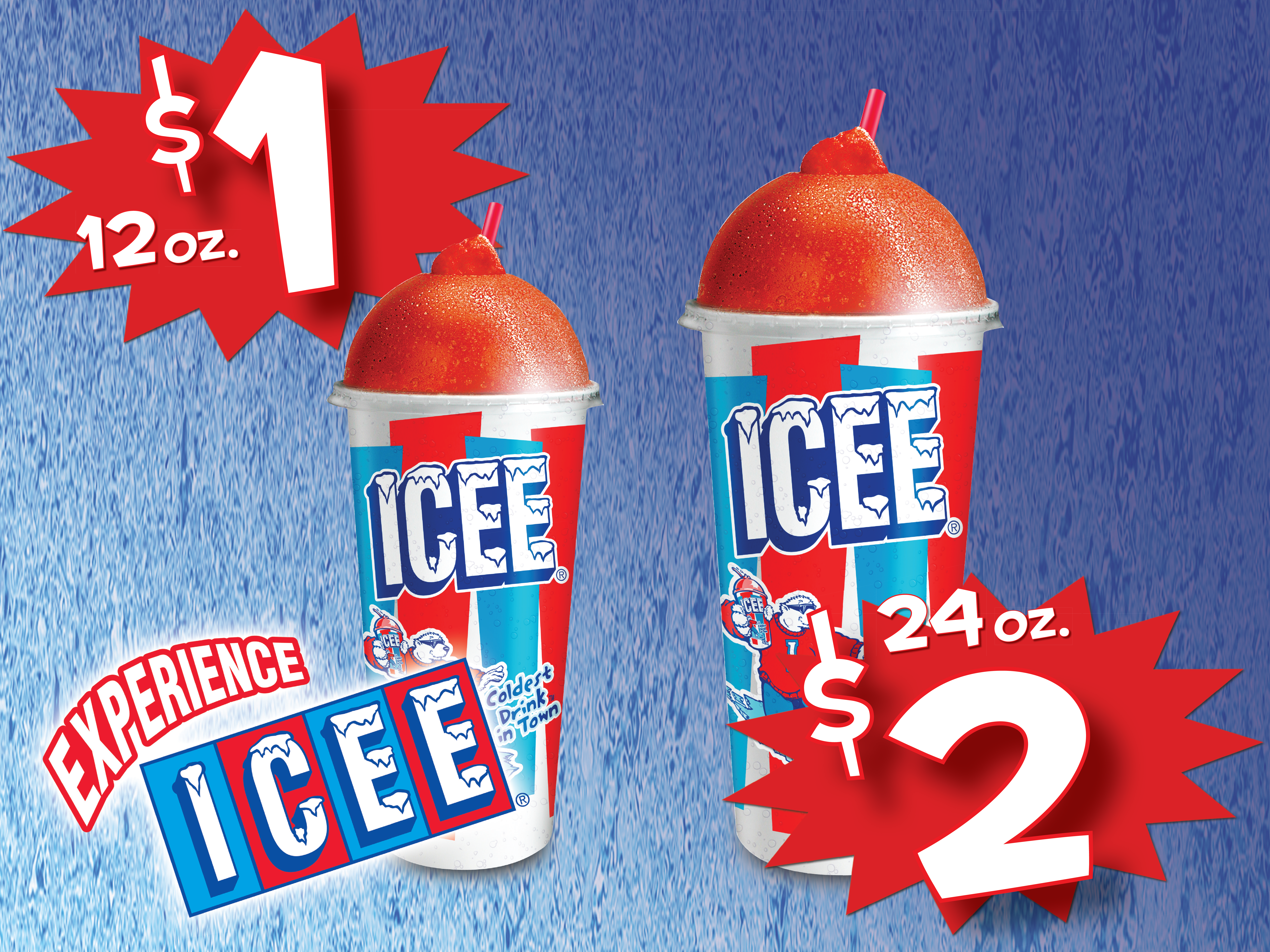 Experience Icee 2 Sizes Picket Sign